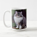 Recherche de chat persan blanc tasses Animal