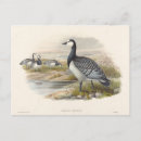 Recherche de gosse cartes postales Illustration