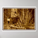 Recherche de cerfs communs de queue art Faune