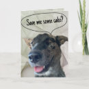 Recherche de photographie de chien Drôle