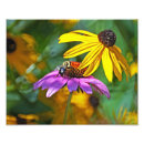 Recherche de pollinisation posters Jardin