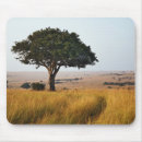 Recherche de arbre isolé Simple