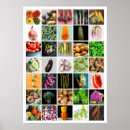 Recherche de veg posters Vert
