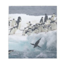 Recherche de plongée blocsnotes Oiseau