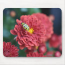 Recherche de insecte de clavier Fleur