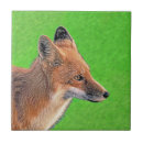 Recherche de faune carreaux Peinture