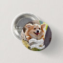 Recherche de souriant badges Chien