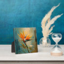 Recherche de jungle plaques Tropical