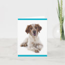 Recherche de brittany vœux cartes Chiot