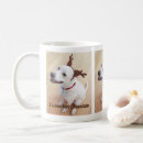 Recherche de chiot drôle tasses Labrador