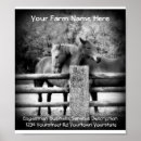 Recherche de écuries posters Équitation