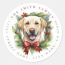 Recherche de labrador retriever jaune autocollants Vacances