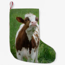 Recherche de vaches chaussette de noël Pays