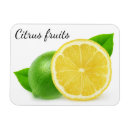 Recherche de citron magnets Fruits