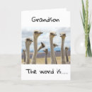 Recherche de grandson vœux cartes Drôle