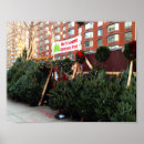 Recherche de christmas tree posters Photographie