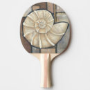 Recherche de ormeau Coquillage