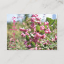 Recherche de skyline cartes visite Photographie