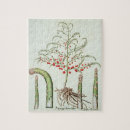 Recherche de fruit puzzles Plantes