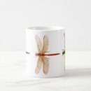 Recherche de mouches tasses Ailes