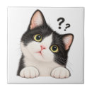 Recherche de smoking carreaux Chat noir et blanc