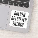 Recherche de récupération coques Récupérateur doré