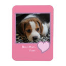 Recherche de chien beagle magnets Dog