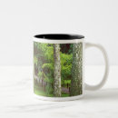 Recherche de japan tasses Temple