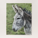 Recherche de ânes puzzles Animal