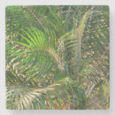 Recherche de éclairé dessous de verres Vert