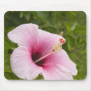 Recherche de hibiscus tapis souris Océan