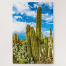 Recherche de cactus puzzles Botanique