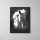 Recherche de cheval occidental art Portraits