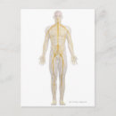 Recherche de nerveux cartes postales Illustration