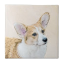 Recherche de welsh corgi carreaux Pembroke