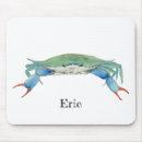 Recherche de crabe tapis souris Bleu