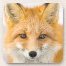 Recherche de renard dessous de verres Animal