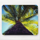 Recherche de arbre noix coco tapis souris Palmier