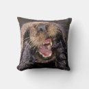 Recherche de loutres coussins Vie marine