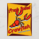 Recherche de crevettes cartes postales Langouste