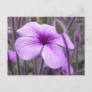 Recherche de subtil cartes postales Fleurs