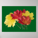 Recherche de érable rouge posters Feuillage
