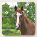 Recherche de inscription dessous de verres Nature