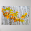 Recherche de monasterio posters Images de bridgeman