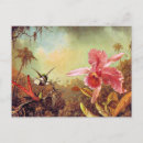 Recherche de heade martin johnson posters Orchidée