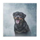 Recherche de animal familier carreaux Nature