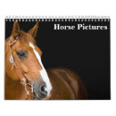 Recherche de cheval frison bureau école Équin