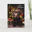 Recherche de chocolate labrador christmas vœux cartes Dog