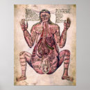 Recherche de gynécologue posters Médecin