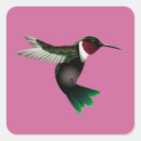 Recherche de oiseau de mer autocollants Colibri